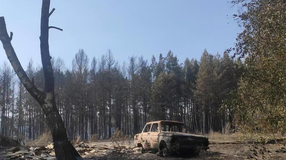 Село знищила лісова пожежа