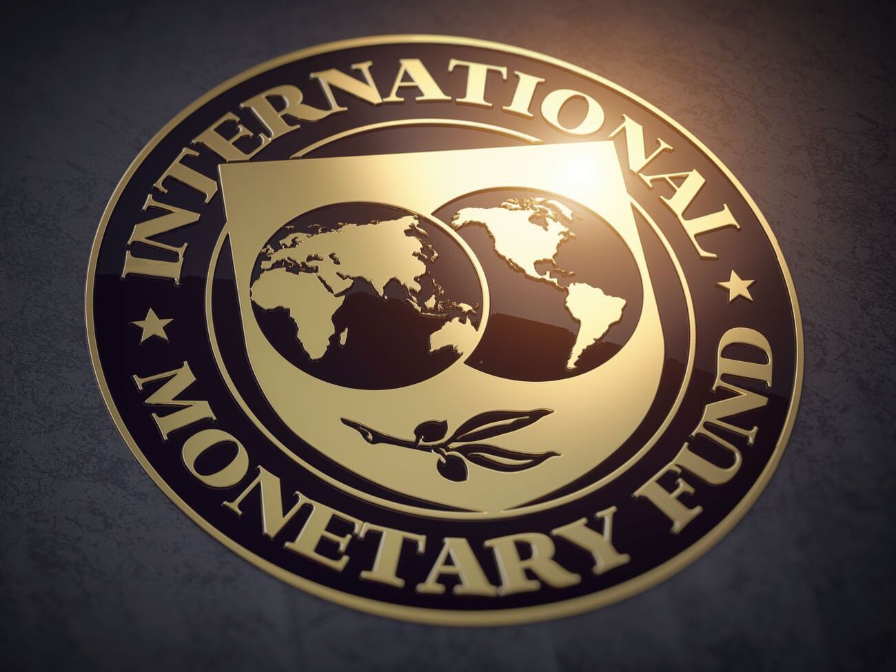 Завершення реформи митної та податкової служб України є однією з умов МВФ