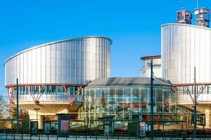 В ЕСПЧ прибегли к правилу 39 Регламента суда