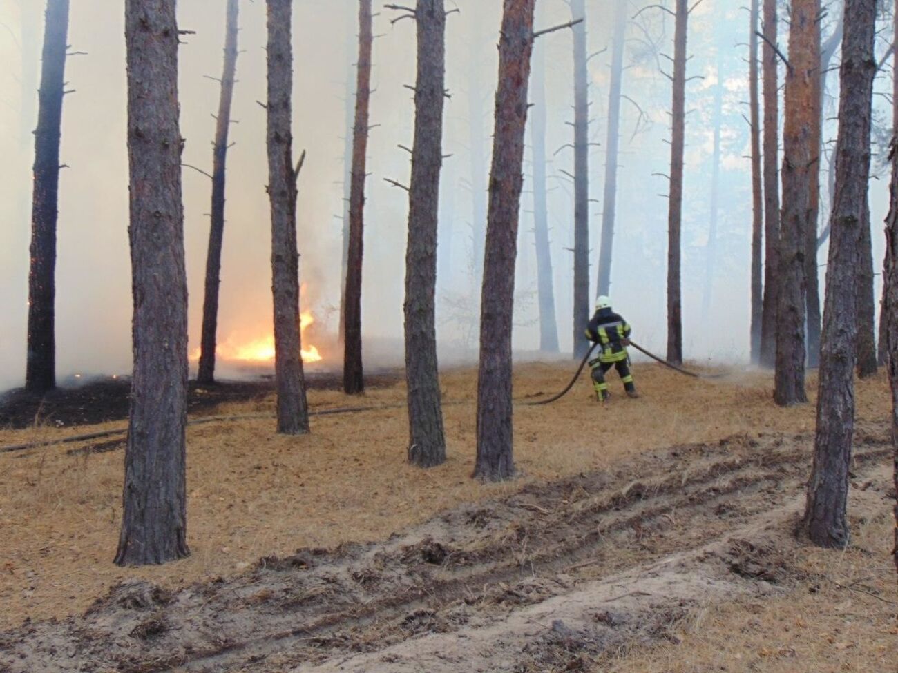 30 вересня лісові пожежі виникли в Новоайдарському, Старобільському та Станично-Луганському районах Луганської області