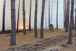 30 вересня лісові пожежі виникли в Новоайдарському, Старобільському та Станично-Луганському районах Луганської області