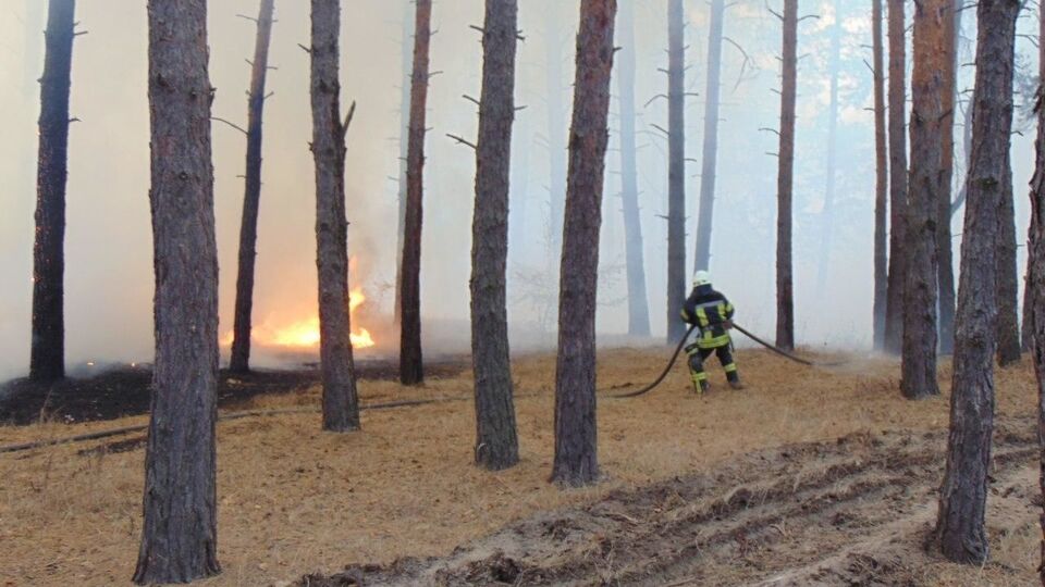30 вересня лісові пожежі виникли в Новоайдарському, Старобільському та Станично-Луганському районах Луганської області