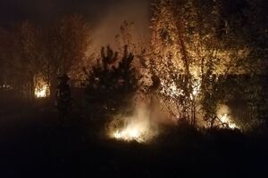 За сентябрь в Луганской области произошло несколько лесных пожаров