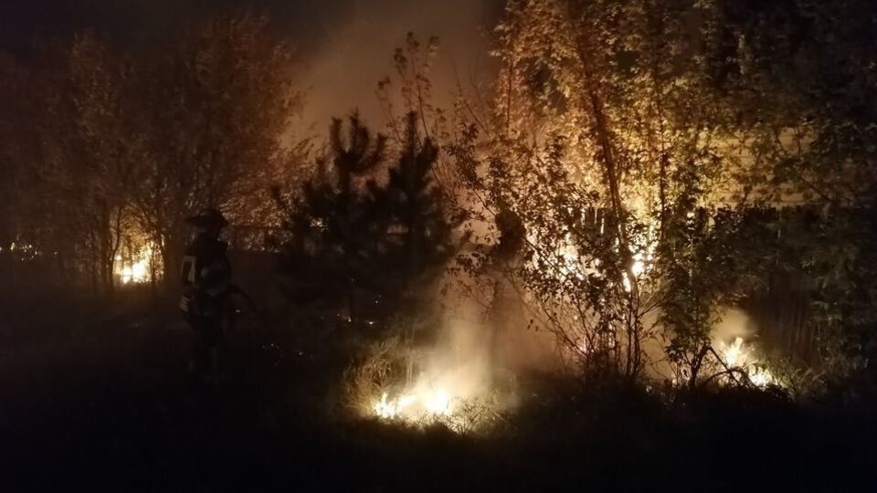 Протягом вересня в Луганській області сталося кілька лісових пожеж