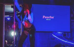 Бордель Pascha в Кельне обанкротился
