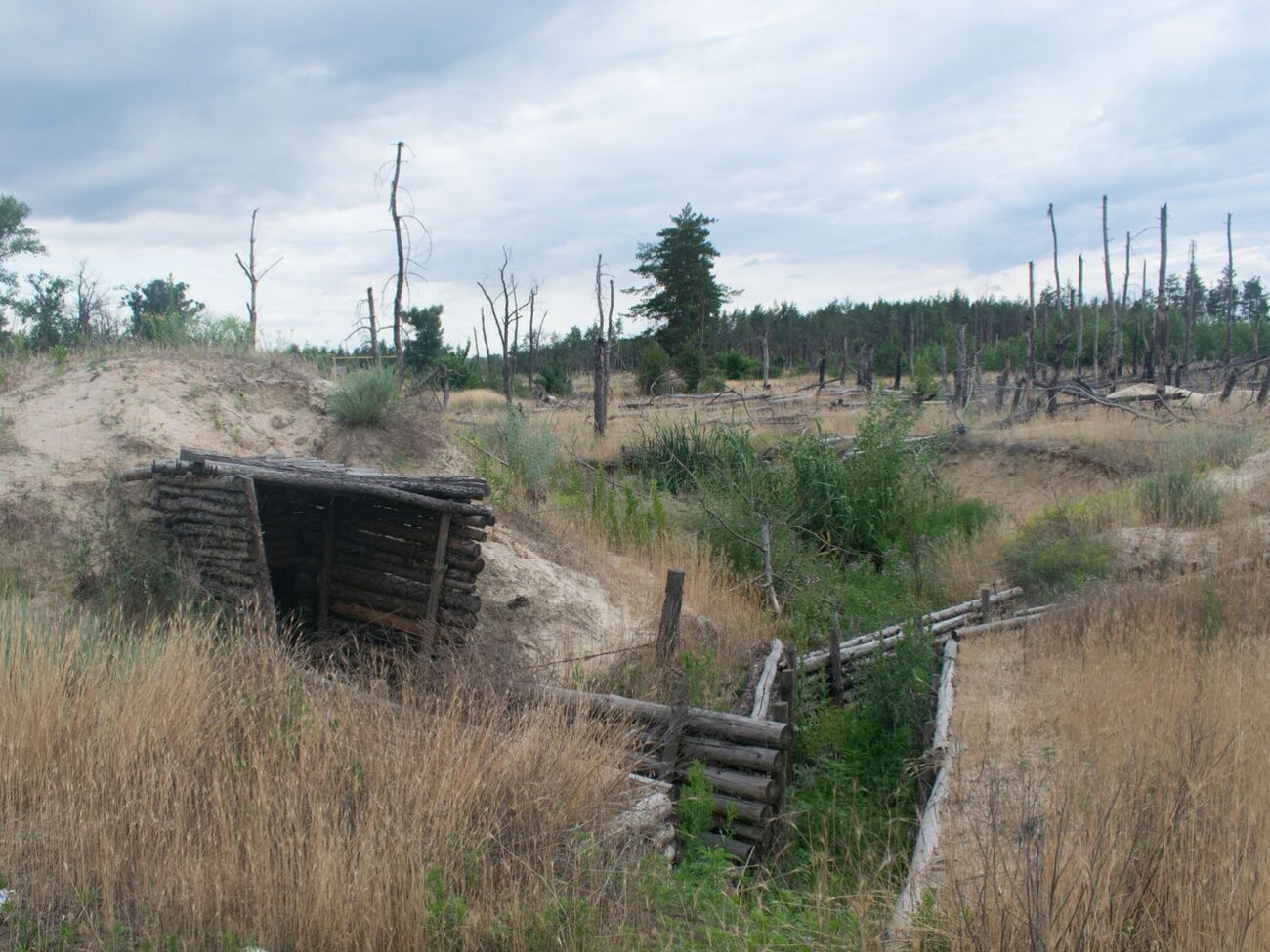 Пушилін звинувачував ЗСУ в облаштуванні нових траншей
