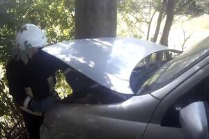 Жінку машина притиснула до дерева