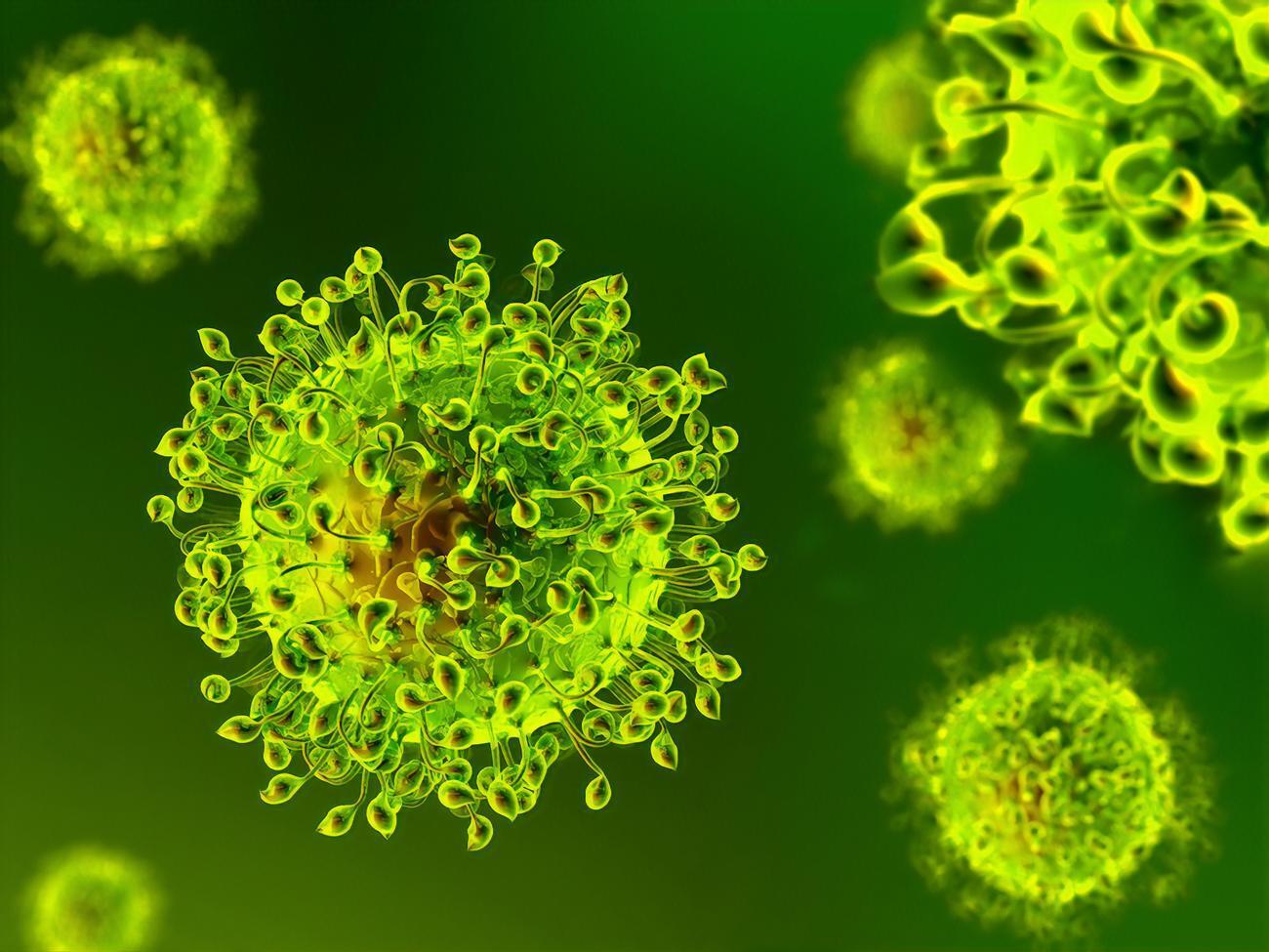 Учені ВООЗ планують з'ясувати, чи був ринок в Ухані точкою, де новий коронавірус уперше перекинувся із тварин на людей