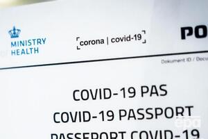 Степанов згадав громадян ЄС, які будуть отримувати паспорти після вакцинації
