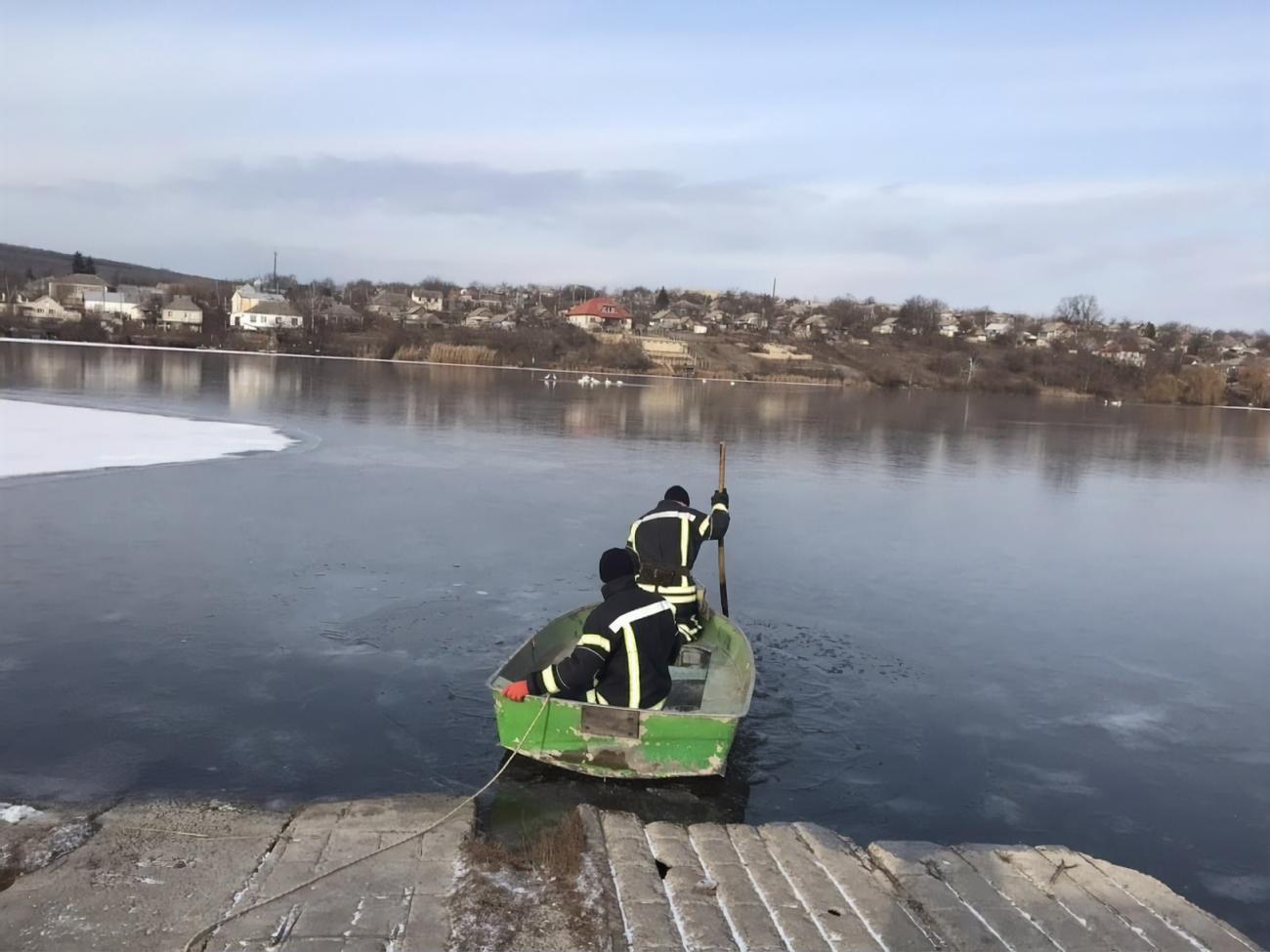Лебедів рятувало четверо людей