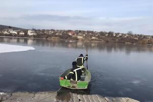Лебедей спасали четыре человека
