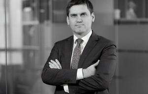 Нижний был одним из самых сильных судебных юристов в Украине в спорах между инвесторами и в конфликтах инвесторов с государством, сообщали в Hillmont Partners