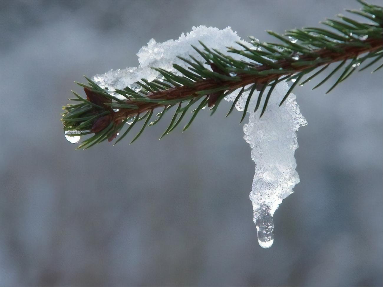 23-го и 24 января днем в Херсоне и Одессе ожидается +8...+10&deg;С