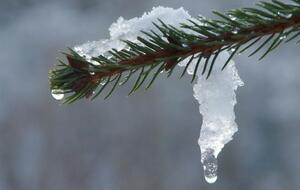 23-го и 24 января днем в Херсоне и Одессе ожидается +8...+10°С