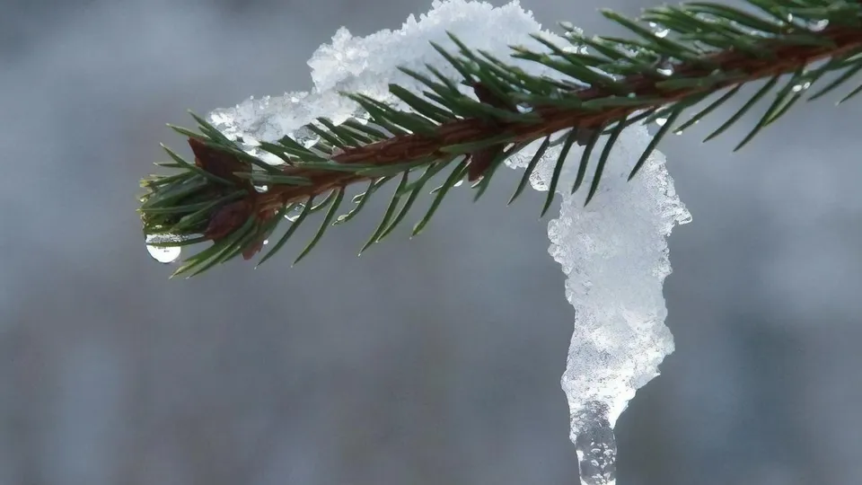23-го и 24 января днем в Херсоне и Одессе ожидается +8...+10°С