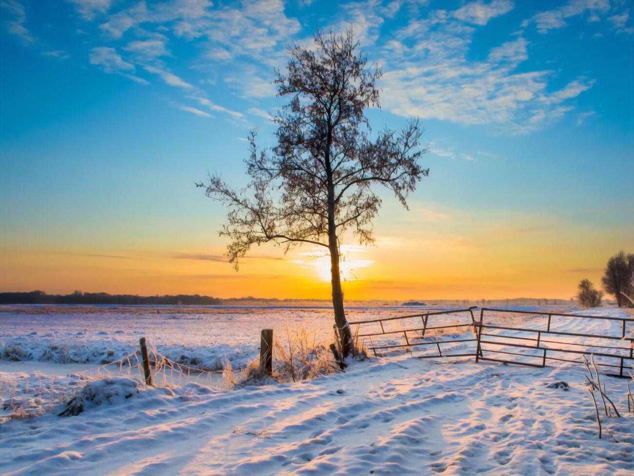 Средняя месячная температура января предполагается 0...-4&deg;, сообщили синоптики