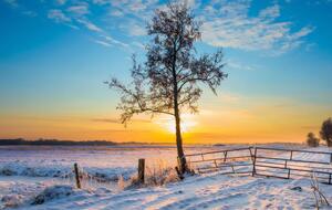 Средняя месячная температура января предполагается 0...-4°, сообщили синоптики