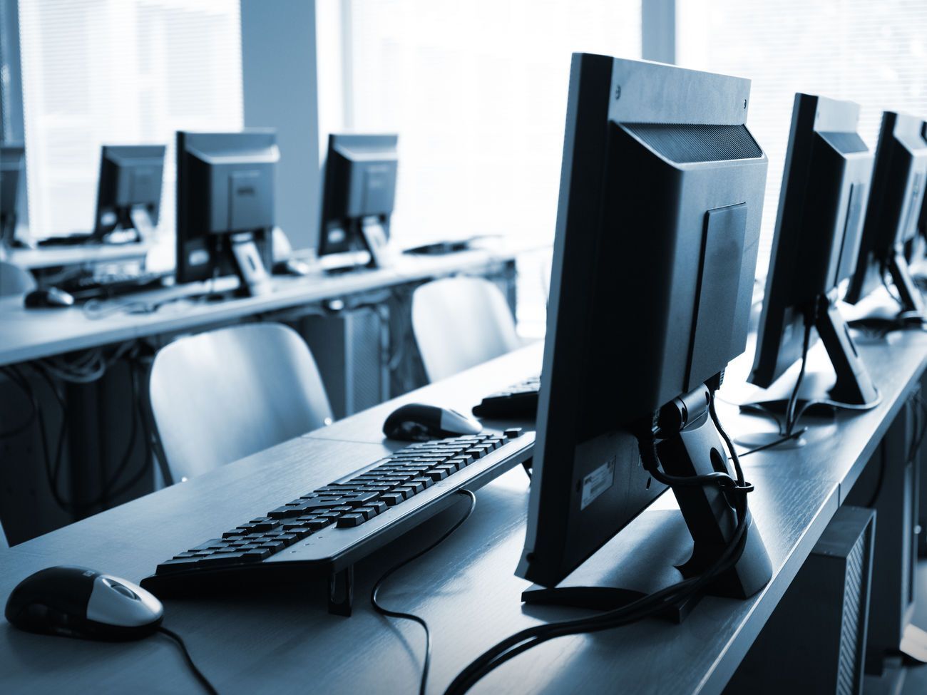 Безработные смогут бесплатно учиться IT-специальностям в частных IT-школах