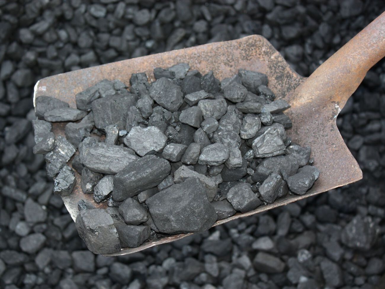 Формула "Роттердам плюс" действовала для расчета цены на уголь при прогнозировании стоимости электроэнергии для промышленных потребителей в период 2016&ndash;2019 годов