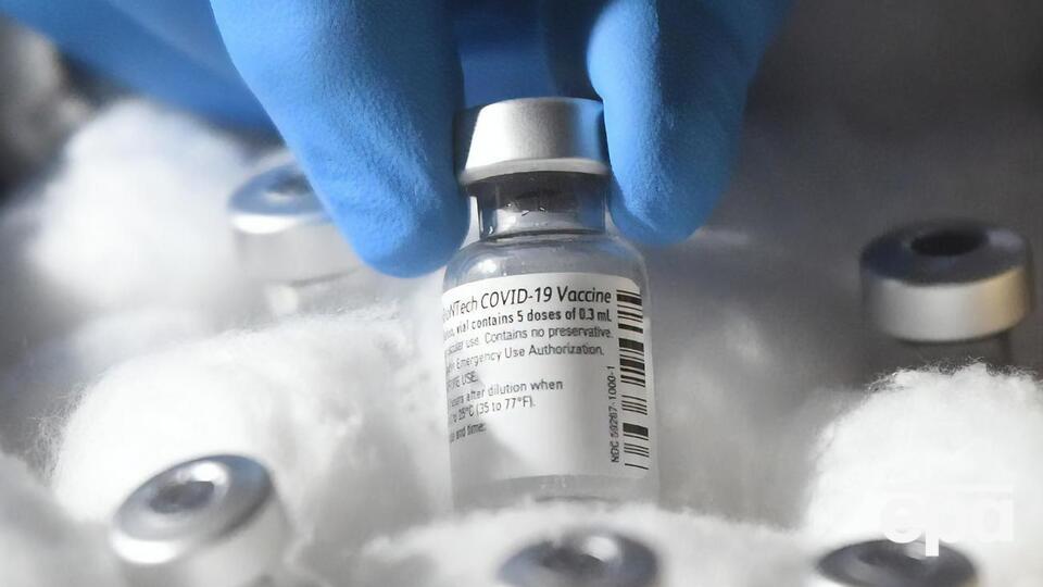 Про участь Pfizer і BioNTech у програмі COVAX офіційно мають оголосити 22 січня