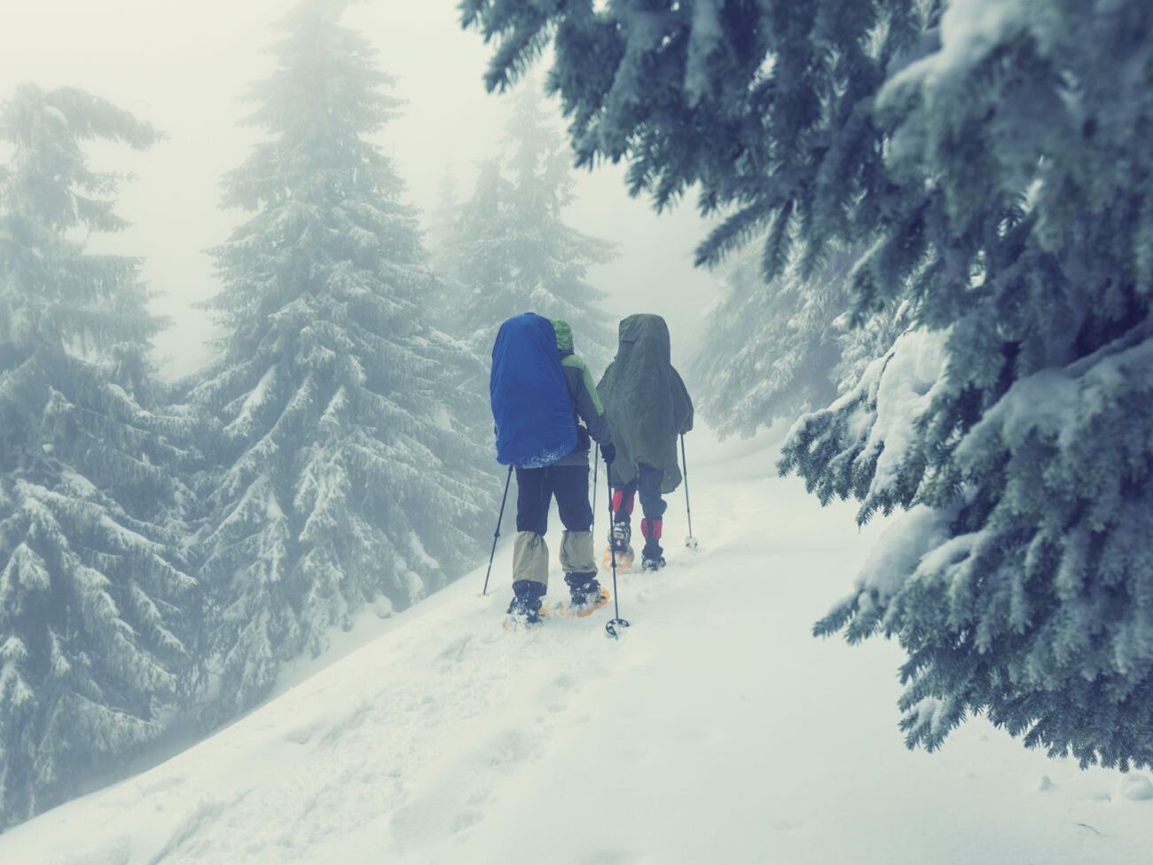 Туристам не рекомендують ходити в Карпати
