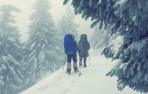 Туристам не рекомендують ходити в Карпати