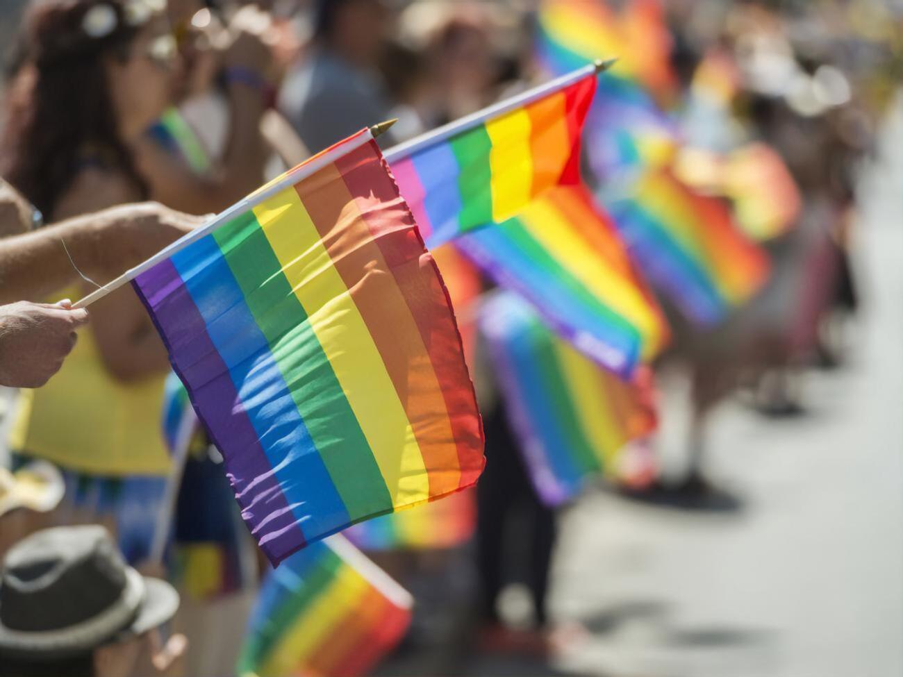 Скарги від гей-пар у ЄСПЛ було подано у 2014–2015 роках