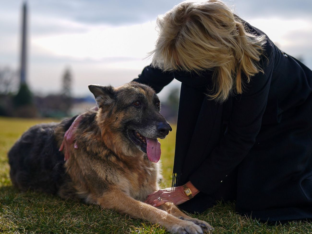 Чемп та Мейджор переїхали до господарів