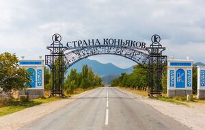 Винзавод "Коктебель" купило ООО "Завод марочных вин "Коктебель"