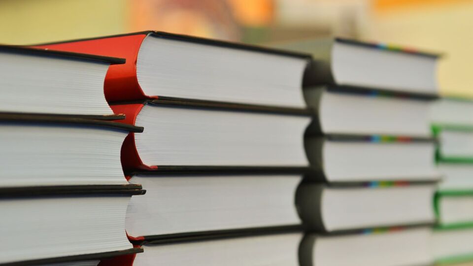 У Міносвіти зазначили, що дізналися про постанову суду щодо шкільних підручників 25 січня з Єдиного реєстру судових рішень