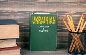 Кабмін може оскаржити це рішення