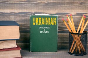 Кабмин может обжаловать это решение