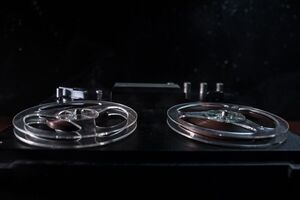 СБУ розшукує Нескоромного у справі про підготовку замаху на співробітника спецслужби