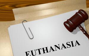 Португалия станет четвертой страной в Европе и седьмой в мире, где официально разрешена эвтаназия