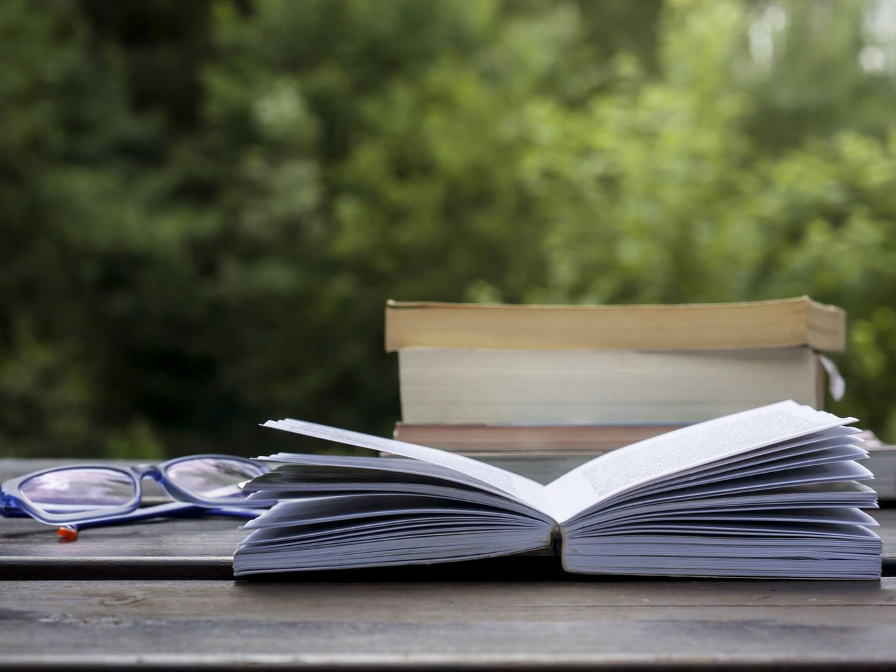 Новая редакция правописания продолжает действовать, подчеркнули в комиссии