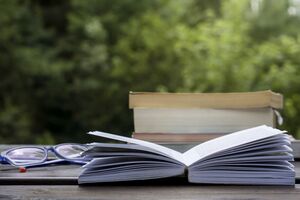 Новая редакция правописания продолжает действовать, подчеркнули в комиссии