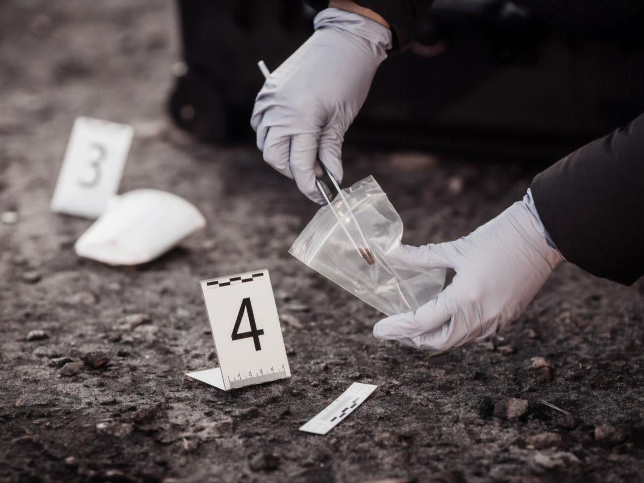 Bellingcat проводит детальное расследование