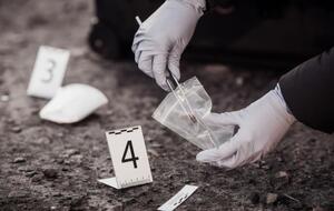 Bellingcat проводит детальное расследование