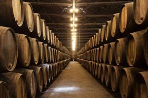 Злоумышленников, похитивших вино из погреба отеля, поймать не удалось