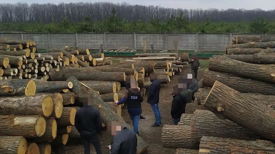 За даними СБУ, протиправна діяльність учасників схем завдала державі збитків на сотні мільйонів гривень