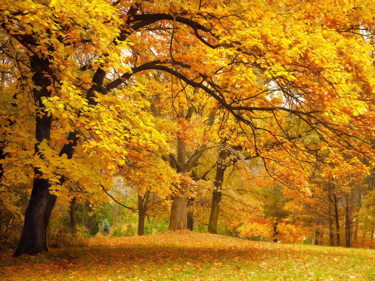 Самым теплым днем прошлого месяца в Киеве было 13 сентября