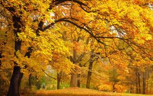 Самым теплым днем прошлого месяца в Киеве было 13 сентября