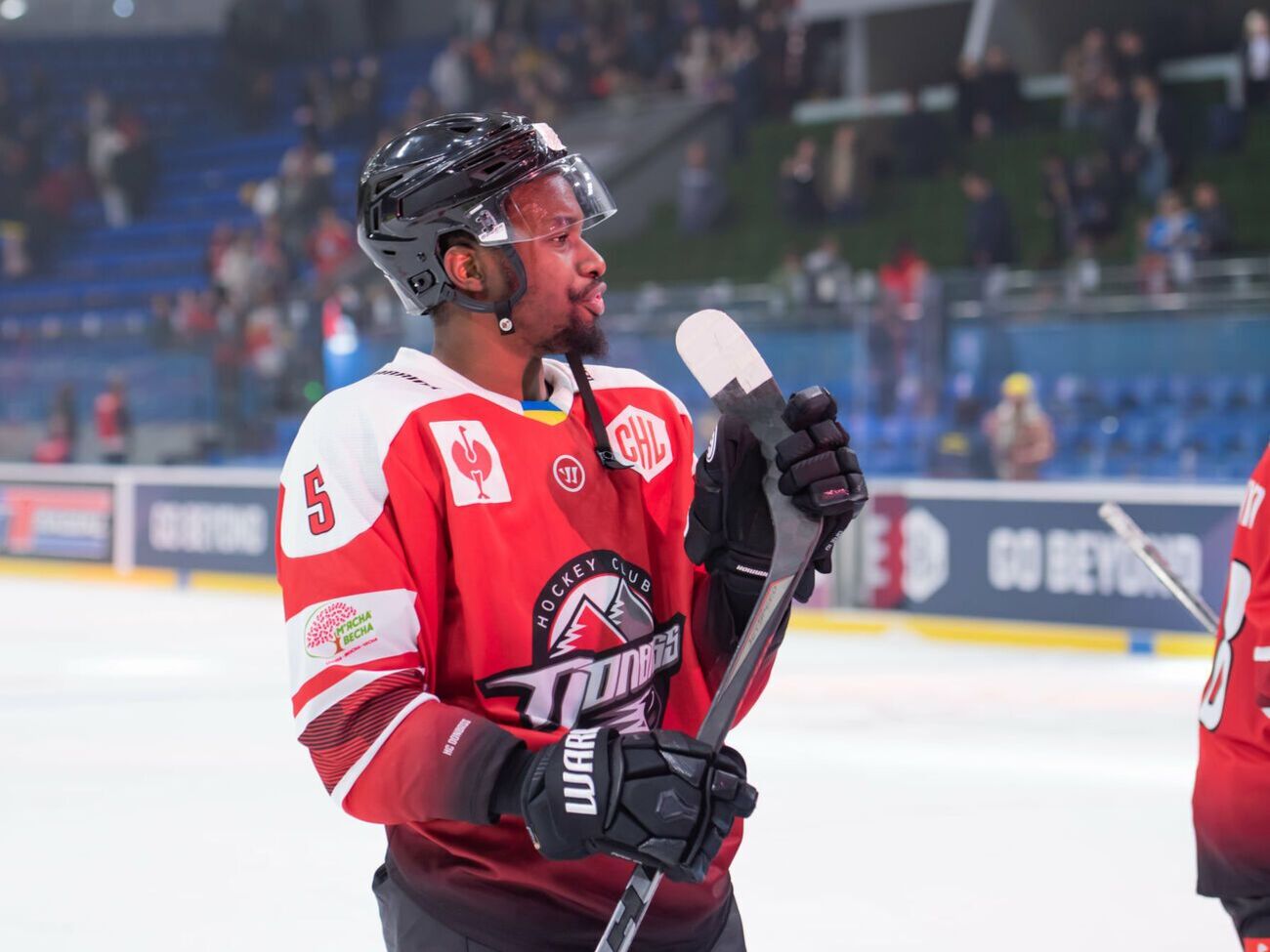 В "Донбасс" Смерек прибыл летом