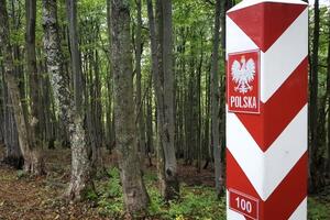 Среди задержанных польскими пограничниками были шесть мигрантов из Ирака