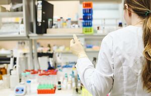 Суміш імунотерапевтичних препаратів знищує ракові клітини та спричиняє менше побічних ефектів, ніж хіміотерапія