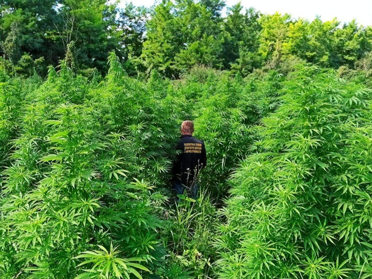 Правоохранители провели спецоперацию&nbsp;"Мак 2021"