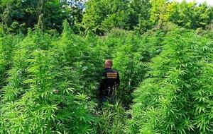 Правоохранители провели спецоперацию "Мак 2021"