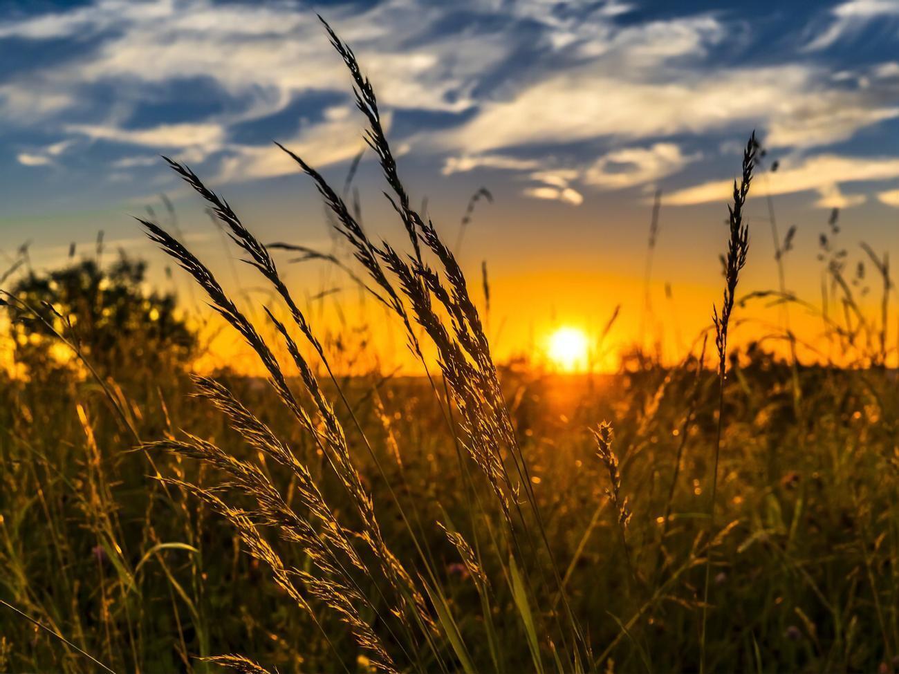 Ринок землі в Україні стартував у липні