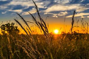 Ринок землі в Україні стартував у липні