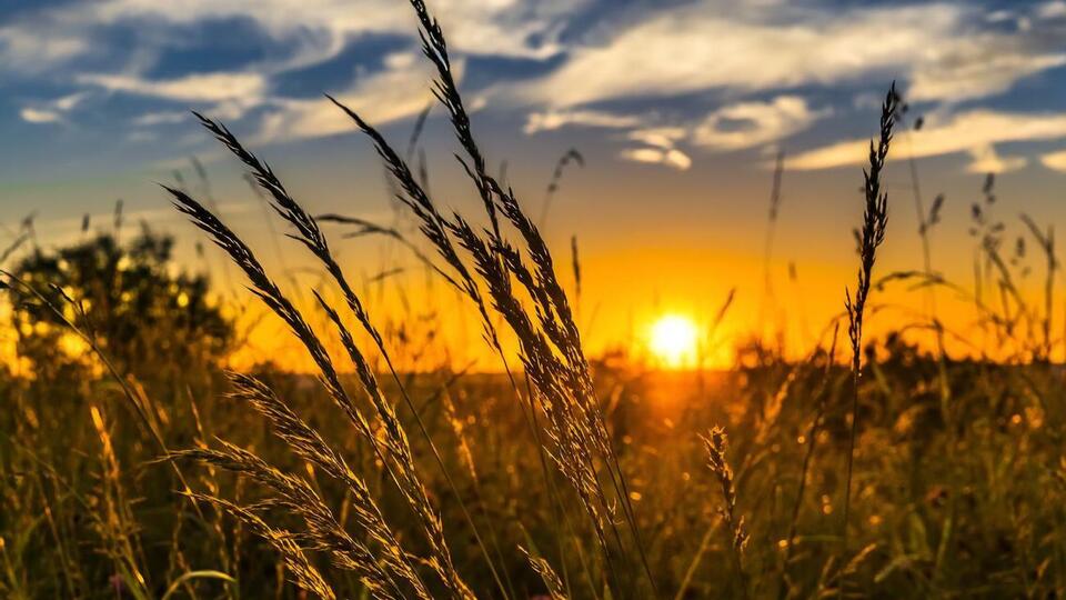 Ринок землі в Україні стартував у липні